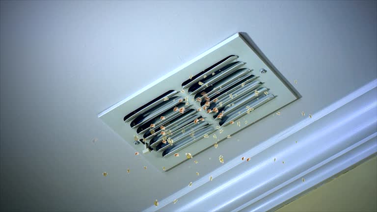 Best Affordable Duct Cleaning Services  in Orange, CA