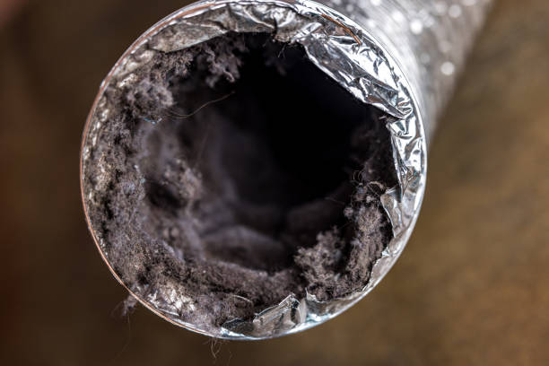 Best Air Duct Cleaning Near Me  in Orange, CA